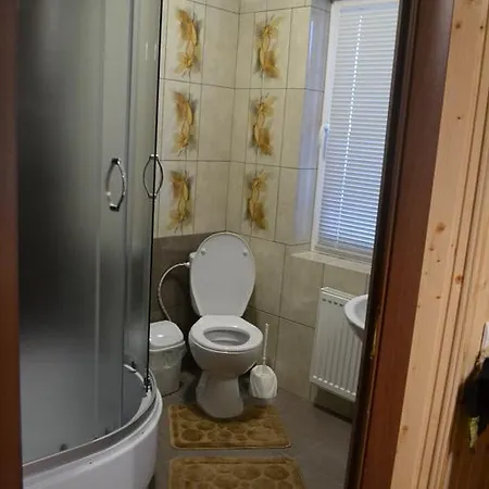 Sadiba Oprishok Apartment Laseschtschyna